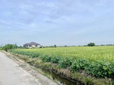 ที่ 3 ไร่ โครตสวย ต.บางปลา อ.บางเลน ถนน/น้ำ/ไฟ/คลอง