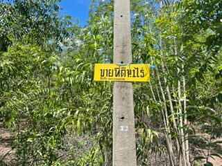 ขายที่ดิน 1 ไร่ ถมแล้ว ถนนเลียบคลองรากผักชี ตำบลบัวปากท่า อำเภอบางเลน นครปฐม 1,000,000 บาท