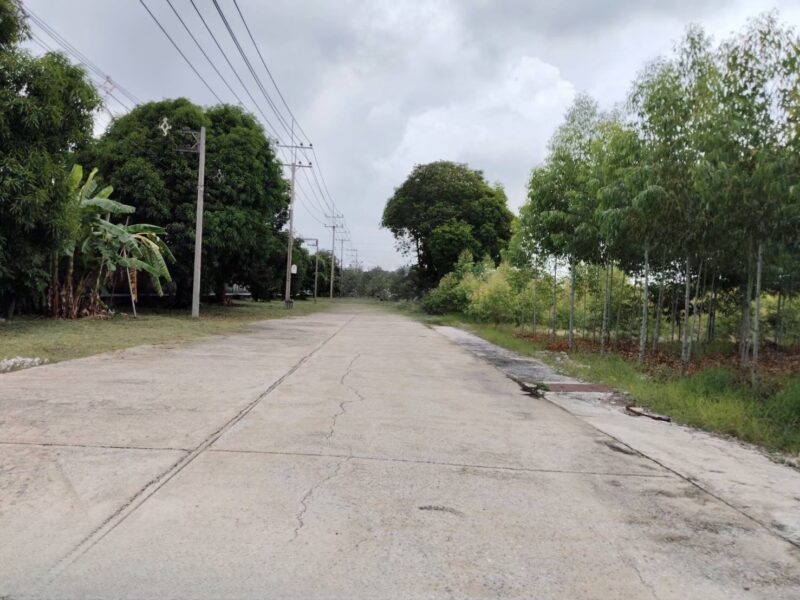 ขายที่ดินผังม่วง ถนนพหลโยธิน นวนคร พื้นที่ 110-3-35 ไร่ ต.คลองหนึ่ง อ.คลองหลวง จ.ปทุมธานี