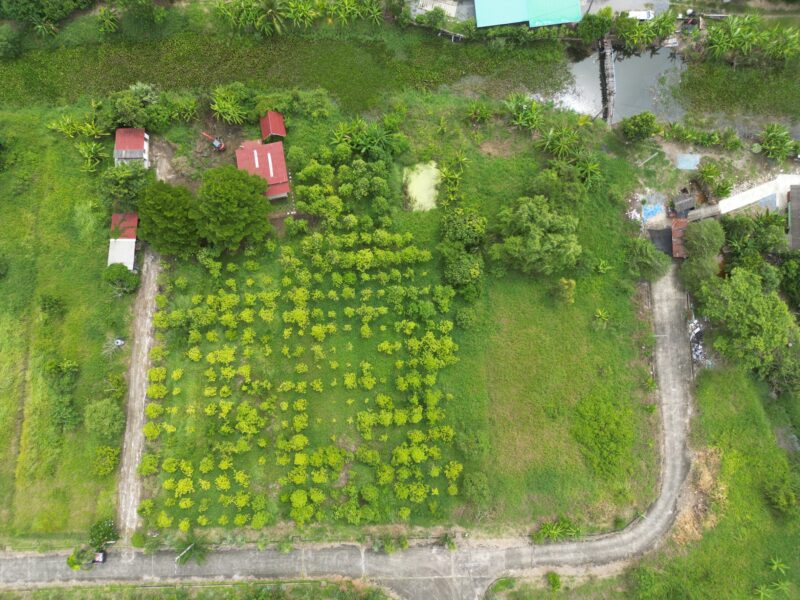 ที่ดินสวยผังสีเขียว 2 ไร่ หนองจอก กรุงเทพฯ ติดคลอง บรรยากาศดี