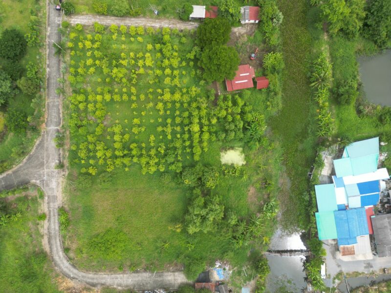 ที่ดินสวยผังสีเขียว 2 ไร่ หนองจอก กรุงเทพฯ ติดคลอง บรรยากาศดี