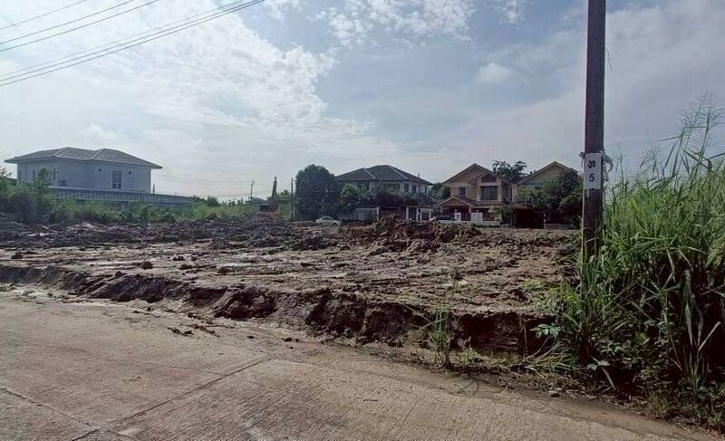 ขายที่ดินหลังสนามหลวง 2 เนื้อที่ 1 ไร่ ติดถนนคอนกรีต ถมสูงกว่าถนน ซ.ทวีวัฒนา 9 เขตตลิ่งชัน กทม.