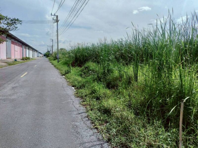 ขายที่ดินรังสิต-นครนายก 100 ตรว ติดถนนลาดยางสาธารณะ คลอง 11 ซ.สนั่นรักษ์ อ.ธัญบุรี จ.ปทุมธานี
