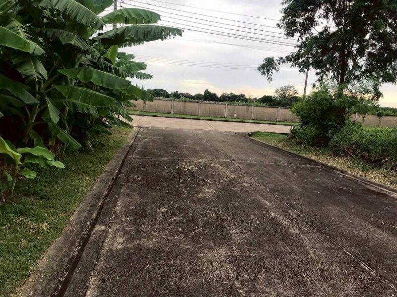 ขายที่ดินหมู่บ้านปัญจทรัพย์ พาร์ค 80 ตรว ถมแล้ว พุทธมณฑลสาย 3 เขตทวีวัฒนา กทม.