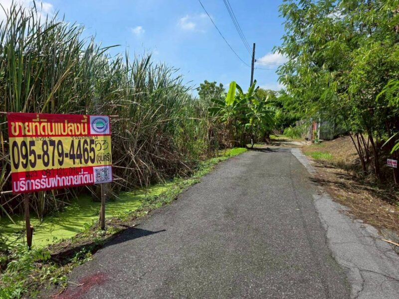 ขายถูกที่ดินทำเลดี 53 ตรว ติดถนนลาดยางสาธารณะ ซ.ร่มโพธิ์ทอง 14 อ.บางบัวทอง จ.นนทบุรี