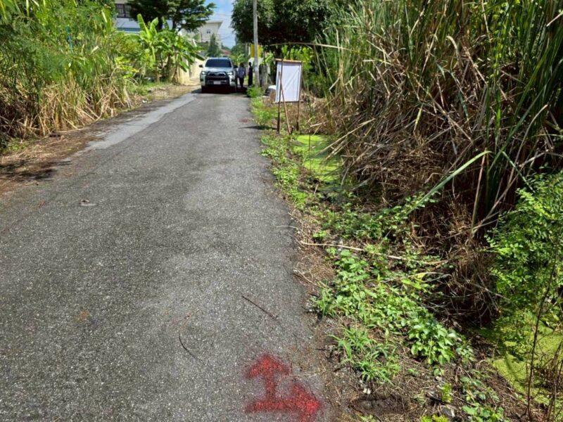 ขายถูกที่ดินทำเลดี 53 ตรว ติดถนนลาดยางสาธารณะ ซ.ร่มโพธิ์ทอง 14 อ.บางบัวทอง จ.นนทบุรี