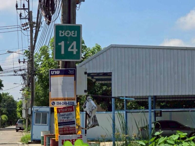 ขายถูกที่ดินทำเลดี 53 ตรว ติดถนนลาดยางสาธารณะ ซ.ร่มโพธิ์ทอง 14 อ.บางบัวทอง จ.นนทบุรี