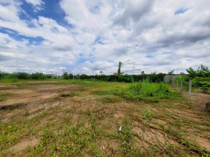 ขายที่ดินถมแล้ว 1 ไร่ ติดถนนลาดยางสาธารณะ ซ.คลองหกตะวันตก 25 อ.คลองหลวง จ.ปทุมธานี