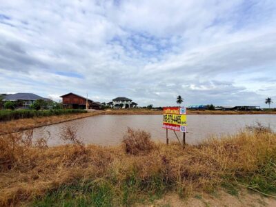 ขายถูกที่ดินคลองสิบสาม 3 ไร่เศษ ติดถนนสาธารณะ มีไฟฟ้า 3 เฟส เขตหนองจอก กทม.