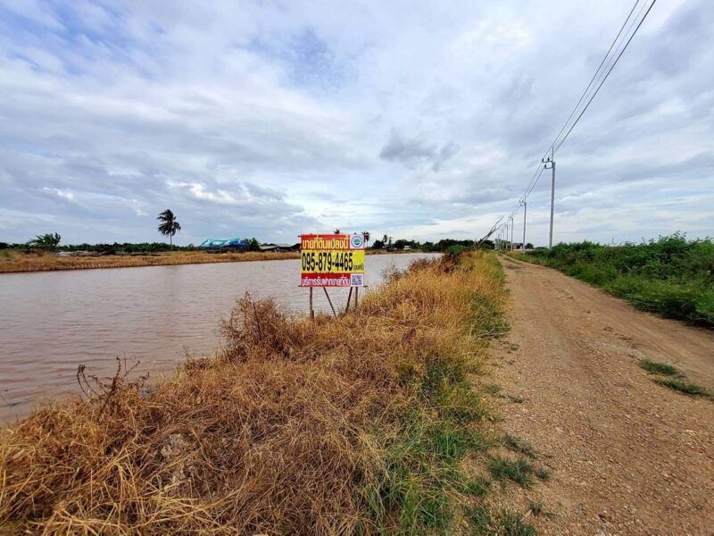 ขายถูกที่ดินคลองสิบสาม 3 ไร่เศษ ติดถนนสาธารณะ มีไฟฟ้า 3 เฟส เขตหนองจอก กทม.