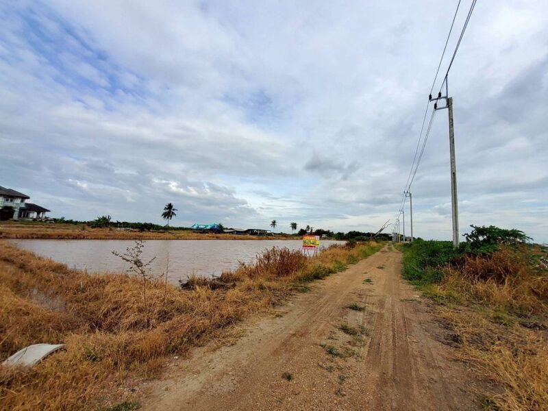 ขายถูกที่ดินคลองสิบสาม 3 ไร่เศษ ติดถนนสาธารณะ มีไฟฟ้า 3 เฟส เขตหนองจอก กทม.