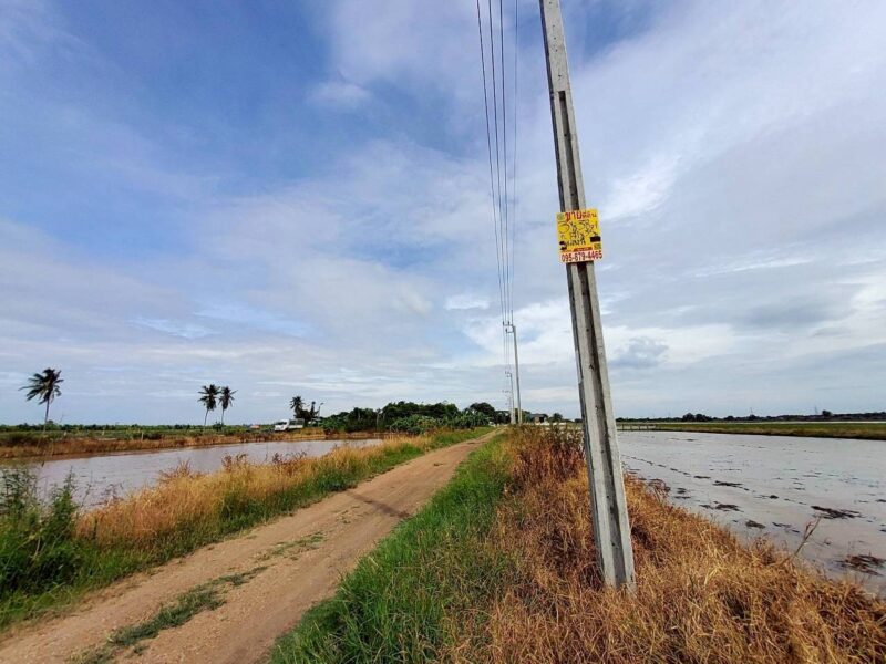 ขายถูกที่ดินคลองสิบสาม 3 ไร่เศษ ติดถนนสาธารณะ มีไฟฟ้า 3 เฟส เขตหนองจอก กทม.