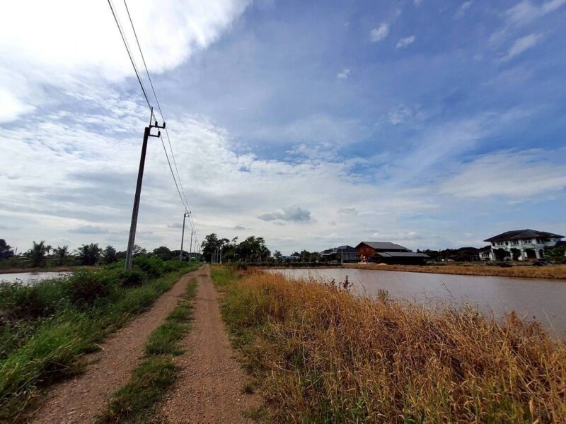 ขายถูกที่ดินคลองสิบสาม 3 ไร่เศษ ติดถนนสาธารณะ มีไฟฟ้า 3 เฟส เขตหนองจอก กทม.