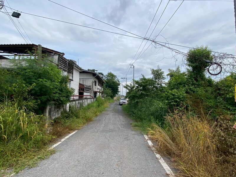 ขายถูกที่ดินคลองสิบสาม 3 ไร่เศษ ติดถนนสาธารณะ มีไฟฟ้า 3 เฟส เขตหนองจอก กทม.