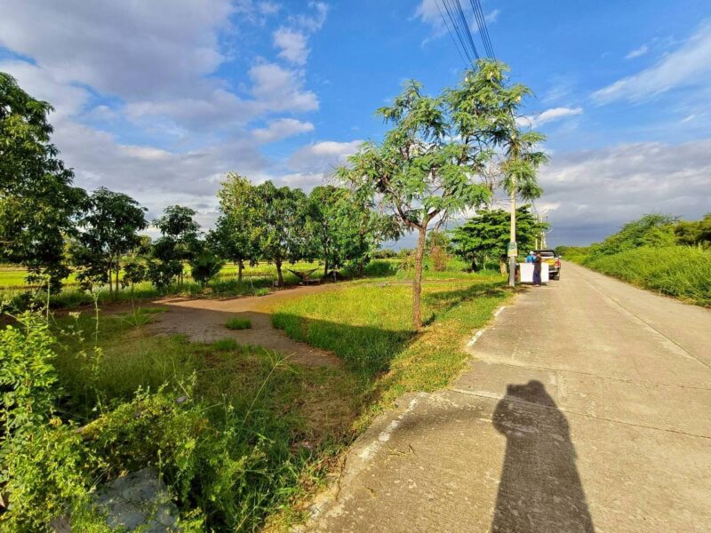 ขายด่วนที่ดิน 100 ตาว ติดถนนคอนกรีตสาธารณะ ถมแล้ว ซ.คลองสี่ตะวันตก 34/1 อ.คลองหลวง จ.ปทุมธานี