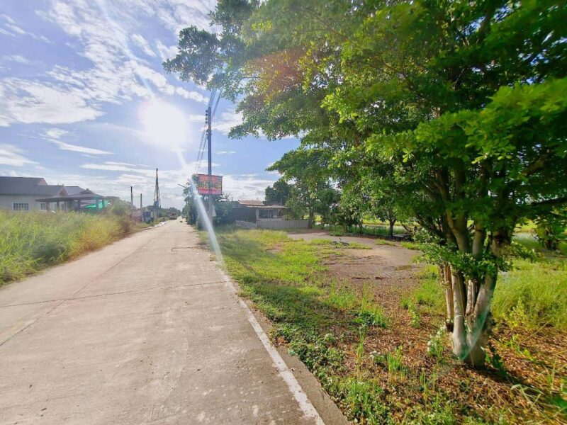 ขายด่วนที่ดิน 100 ตาว ติดถนนคอนกรีตสาธารณะ ถมแล้ว ซ.คลองสี่ตะวันตก 34/1 อ.คลองหลวง จ.ปทุมธานี