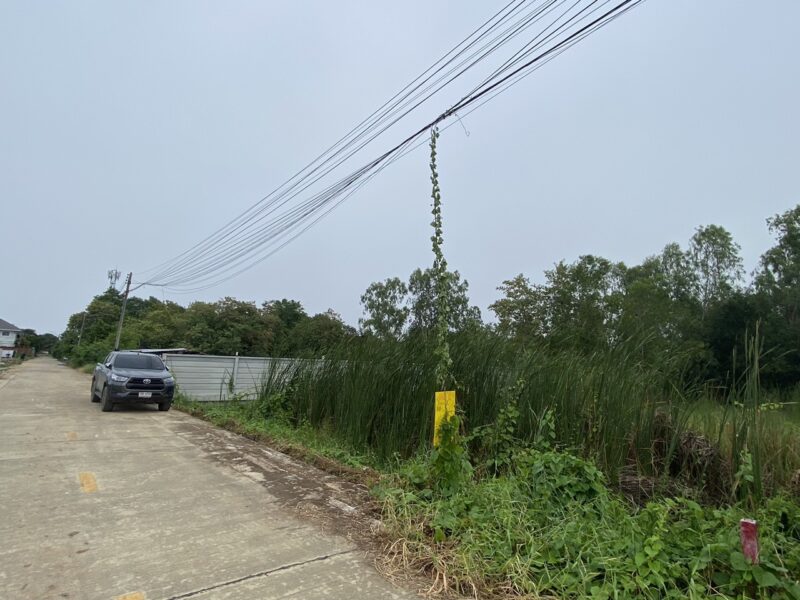 ขายด่วนที่ดินคลองสอง 183 ตรวติดถนนคอนกรีตสาธารณะ ซ.ไอยรา 22 อ.คลองหลวง จ.ปทุมธานี