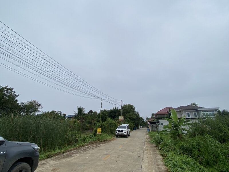 ขายด่วนที่ดินคลองสอง 183 ตรวติดถนนคอนกรีตสาธารณะ ซ.ไอยรา 22 อ.คลองหลวง จ.ปทุมธานี