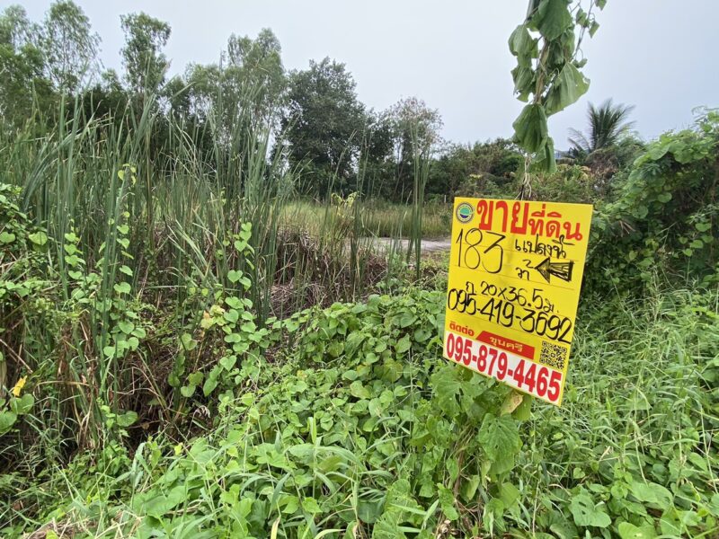 ขายด่วนที่ดินคลองสอง 183 ตรวติดถนนคอนกรีตสาธารณะ ซ.ไอยรา 22 อ.คลองหลวง จ.ปทุมธานี