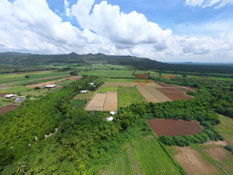 ที่ดิน 42 ไร่ วิวภูเขาติดลำห้วย ธรรมชาติล้อมรอบ