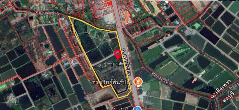 ขายที่ดินเปล่า เนื้อที่ 55-3-36 ไร่ ถนนศุขประยูร ตำบลหนองตีนนก อำเภอบ้านโพธิ์ จังหวัดฉะเชิงเทรา