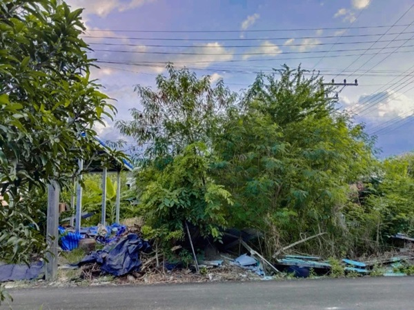 ขายที่ดินเปล่าเคหะคลอง 8 ติดสนาม ลานออกกำลังกาย ถมแล้ว น้ำ-ไฟฟ้าหน้าแปลง โทร 095-1653654
