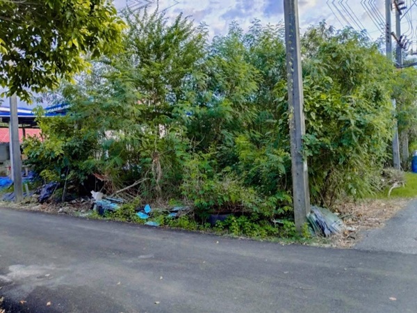 ขายที่ดินเปล่าเคหะคลอง 8 ติดสนาม ลานออกกำลังกาย ถมแล้ว น้ำ-ไฟฟ้าหน้าแปลง โทร 095-1653654