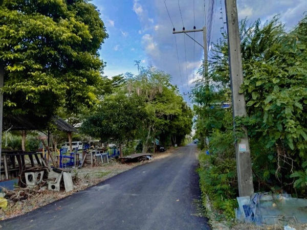 ขายที่ดินเปล่าเคหะคลอง 8 ติดสนาม ลานออกกำลังกาย ถมแล้ว น้ำ-ไฟฟ้าหน้าแปลง โทร 095-1653654