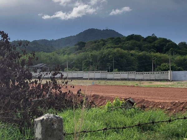 ขายที่ดิน สวนทุเรียน เมืองระยอง วิวภูเขา ติดแหล่งน้ำธรรมชาติ ใกล้ทะเล เนื้อที่ 4 ไร่ 3 งาน 29 ตร.ว. โทร 0852619111 เจ้าของขายเอง