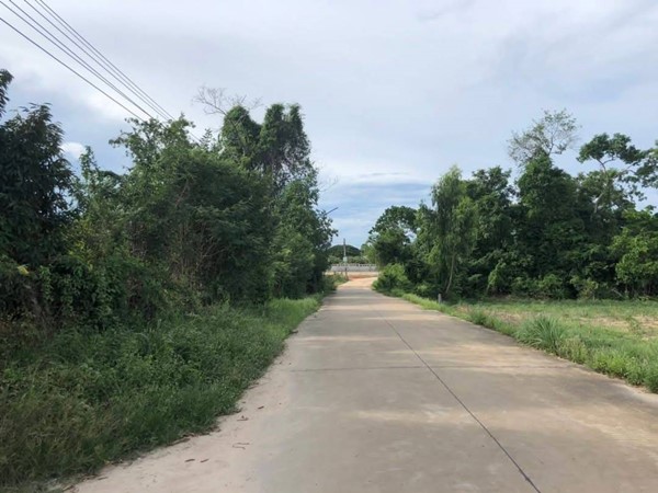 ขายที่ดิน สวนทุเรียน เมืองระยอง วิวภูเขา ติดแหล่งน้ำธรรมชาติ ใกล้ทะเล เนื้อที่ 4 ไร่ 3 งาน 29 ตร.ว. โทร 0852619111 เจ้าของขายเอง
