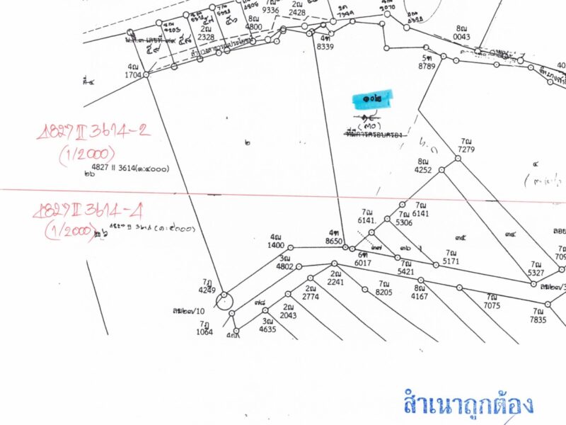 ต้องการขายที่ดิน ด่วน!!! อ.เมืองสุราษฎร์ธานี (เจ้าของขายเอง)