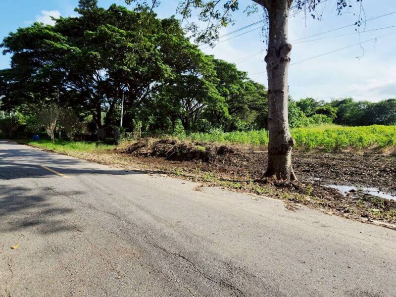 #ที่ดินเขาใหญ่ ซอย.กำนันโจ้ 18-0-92ไร่. (ใกล้.เดอะ พีค ฟลาวเวอร์ แลนด์)ไร่ล่ะ 3.9 ล้าน บ.ซับสวอง ต.ขนงพระ อ.ปากช่อง จ.นครราชสีมา