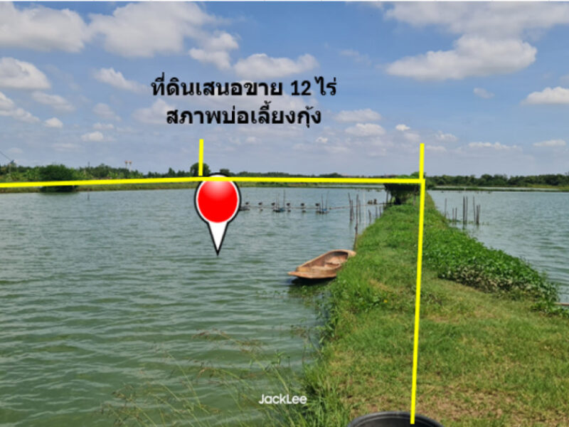 ขาย ที่ดิน ติดถนนเลียบคลองจางวาง ใกล้แม่น้ำบางปะกง อ.บ้านโพธิ์ แปลงสวย 12 ไร่ ติดโครงการบางปะกงริเวอร์ไซด์ พร้อมโอน ฟรีค่าโอน ราคายุติธรรม