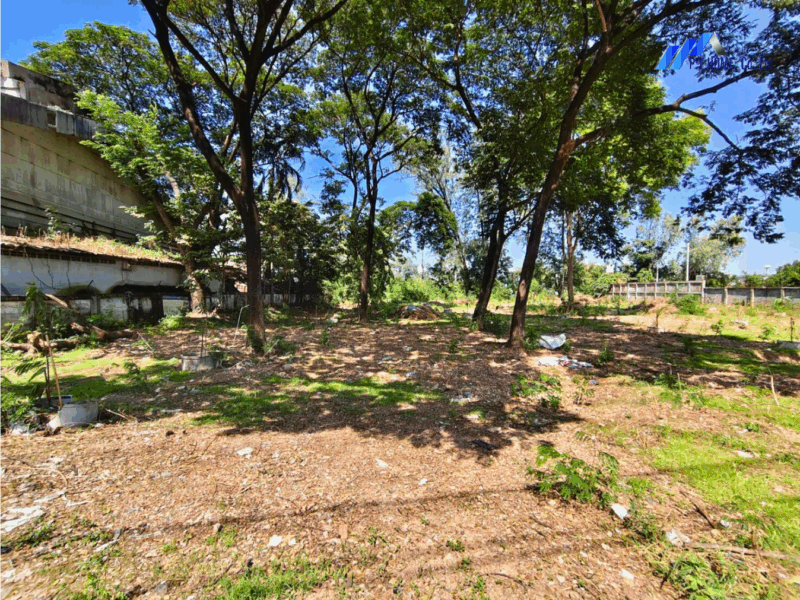 ขายที่ดิน 1-3-66 บางพูน (ใกล้ถนน 345 บางบัวทอง–บางพูน)