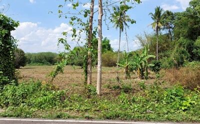 ขายที่ดินเปล่าในจ.ลำพูน ด้านหน้าติดถนนใหญ่ ติดแม่น้ำ พื้นที่สวย ทำเลดี อยู่ในเขตชุมชน ปลอดภัย ห่างจากสถานที่ราชการไม่เกิน 700 เมตร