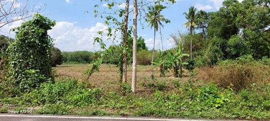 ขายที่ดินเปล่าในจ.ลำพูน ด้านหน้าติดถนนใหญ่ ติดแม่น้ำ พื้นที่สวย ทำเลดี อยู่ในเขตชุมชน ปลอดภัย ห่างจากสถานที่ราชการไม่เกิน 700 เมตร