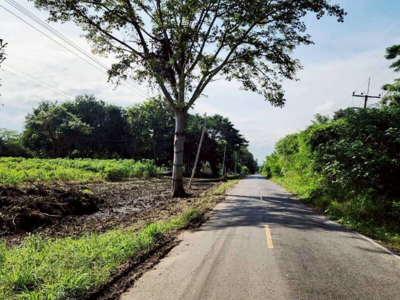 #ที่ดินเขาใหญ่ ซอย.กำนันโจ้ 18-0-92ไร่. (ใกล้.เดอะ พีค ฟลาวเวอร์ แลนด์)ไร่ล่ะ 3.9 ล้าน บ.ซับสวอง ต.ขนงพระ อ.ปากช่อง จ.นครราชสีมา