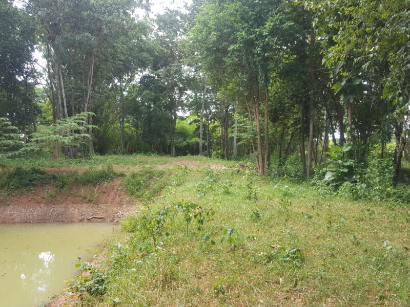 ขายที่ดิน 4 ไร่ 44 ตร.วา ต.อ่างหิน อ.ปากท่อ จ.ราชบุรี