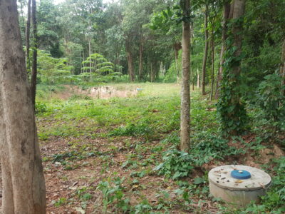 ขายที่ดิน 4 ไร่ 44 ตร.วา ต.อ่างหิน อ.ปากท่อ จ.ราชบุรี