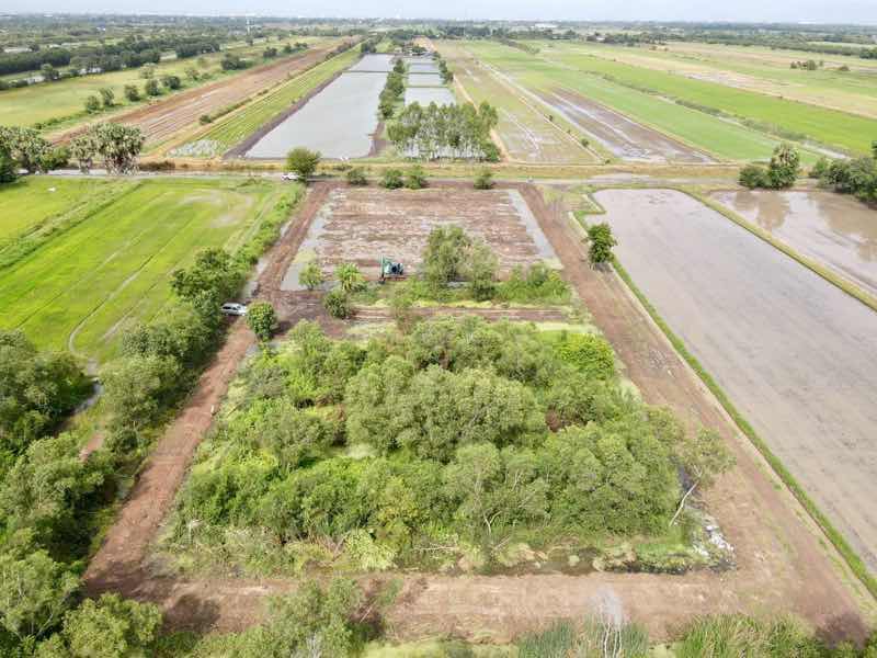 ที่ดินทำเลดีเหมาะทำบ้าน ใกล้มอเตอร์เวย์ คลอง5 ปทุมธานี