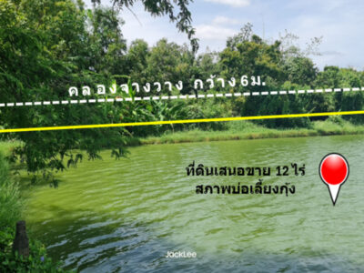 ขาย ที่ดิน ติดถนนเลียบคลองจางวาง ใกล้แม่น้ำบางปะกง อ.บ้านโพธิ์ แปลงสวย 12 ไร่ ติดโครงการบางปะกงริเวอร์ไซด์ พร้อมโอน ฟรีค่าโอน ราคายุติธรรม