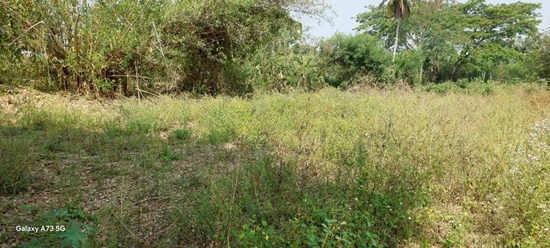 ขายที่ดินเปล่าในจ.ลำพูน ด้านหน้าติดถนนใหญ่ ติดแม่น้ำ พื้นที่สวย ทำเลดี อยู่ในเขตชุมชน ปลอดภัย ห่างจากสถานที่ราชการไม่เกิน 700 เมตร