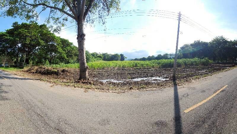 #ที่ดินเขาใหญ่ ซอย.กำนันโจ้ 18-0-92ไร่. (ใกล้.เดอะ พีค ฟลาวเวอร์ แลนด์)ไร่ล่ะ 3.9 ล้าน บ.ซับสวอง ต.ขนงพระ อ.ปากช่อง จ.นครราชสีมา