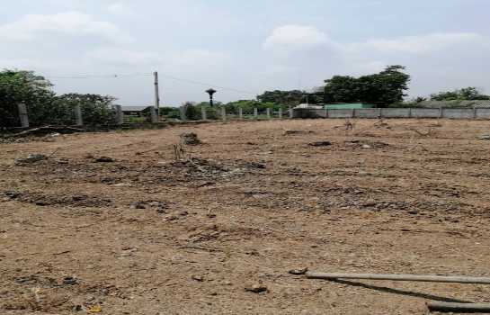 ให้เช่า ที่ดิน คลอง 10 ลำลูกกา 7 ไร่ 2 งาน 66 ตร.วา ทำเลดี ติดถนนลำลูกกา เหมาะทำการค้า โกดัง ปั๊มน้ำมัน