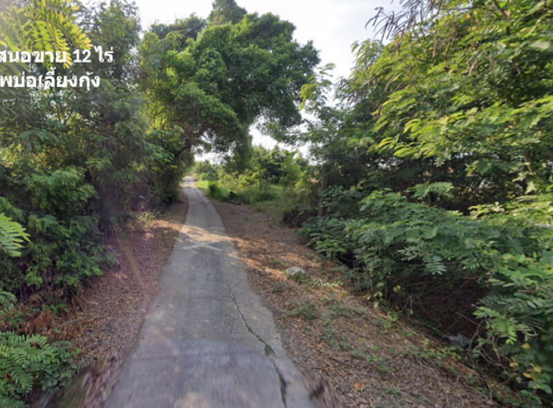 ขาย ที่ดิน ติดถนนเลียบคลองจางวาง ใกล้แม่น้ำบางปะกง อ.บ้านโพธิ์ แปลงสวย 12 ไร่ ติดโครงการบางปะกงริเวอร์ไซด์ พร้อมโอน ฟรีค่าโอน ราคายุติธรรม