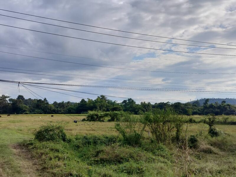 ขายที่ดินดอยสะเก็ด จังหวัดเชียงใหม่ ติดถนนใหญ่