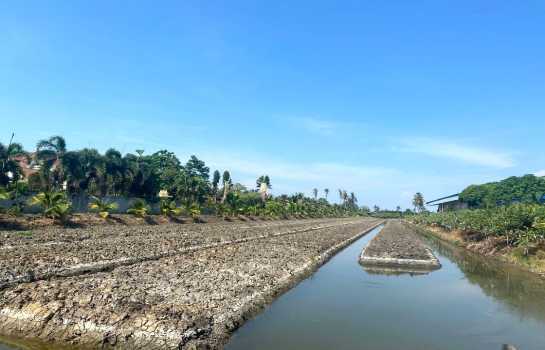 ขายที่ดินเปล่า 8 ไร่ 1 งาน 15 ตร.วา ติดถนนเส้น 375 นครปฐม - ดอนตูม