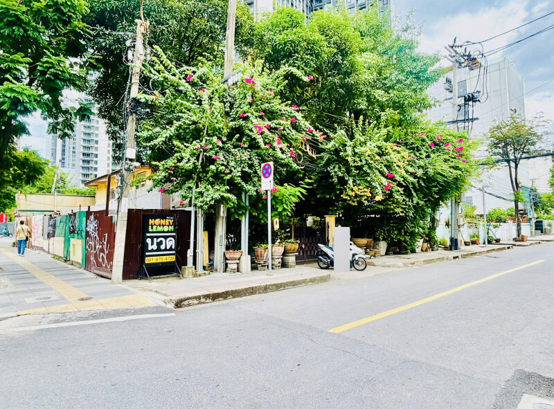 ขาย ที่ดิน ติดถนนใหญ่นราธิวาส เนื้อที่ 1 งาน 81 ตรว