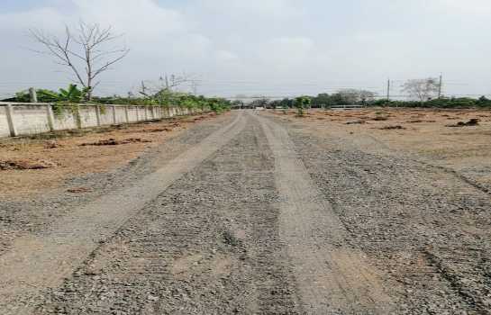 ให้เช่า ที่ดิน คลอง 10 ลำลูกกา 7 ไร่ 2 งาน 66 ตร.วา ทำเลดี ติดถนนลำลูกกา เหมาะทำการค้า โกดัง ปั๊มน้ำมัน