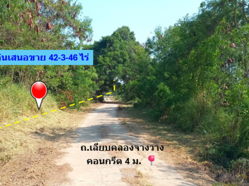 ขาย ที่ดิน ติดถนนเลียบคลองจางวาง ใกล้แม่น้ำฯ อ.บ้านโพธิ์ 42 ไร่ 3 งาน 46 ตรว ติดโครงการบางปะกงริเวอร์ไซด์ พร้อมโอน ฟรีค่าโอน ราคายุติธรรม